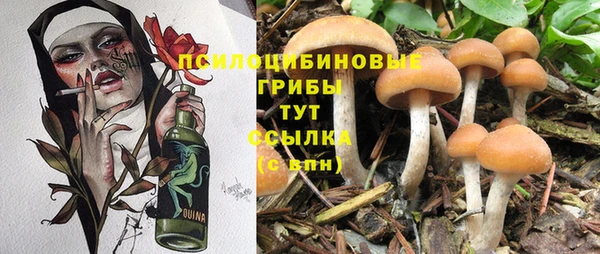 мяу мяу кристалл Ладушкин