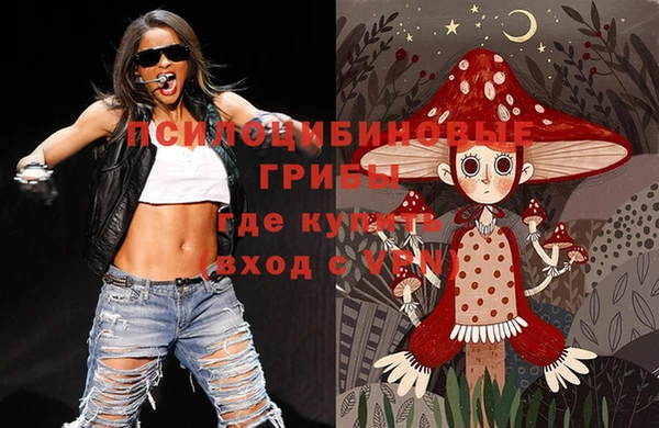 гидра Кулебаки
