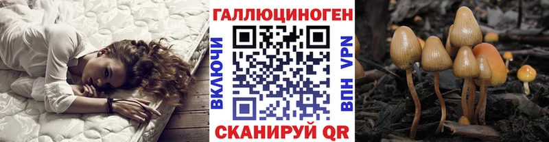 купить наркотики сайты  Курлово  ссылка на мегу ссылки  Псилоцибиновые грибы мицелий 